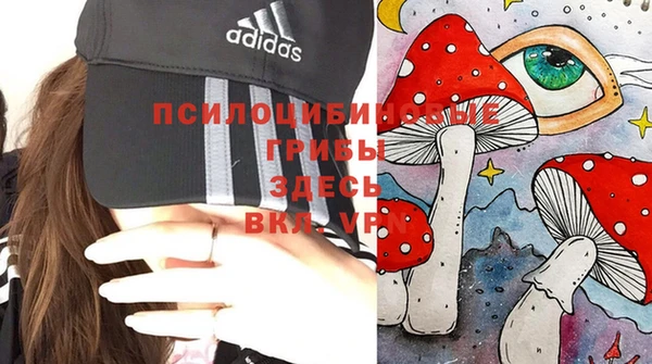 амф Верхний Тагил