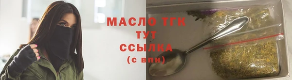 амф Верхний Тагил