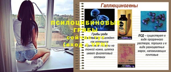 амф Верхний Тагил